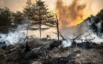 Оценка ущерба после стихийного бедствия в Курске: отчет оценщика